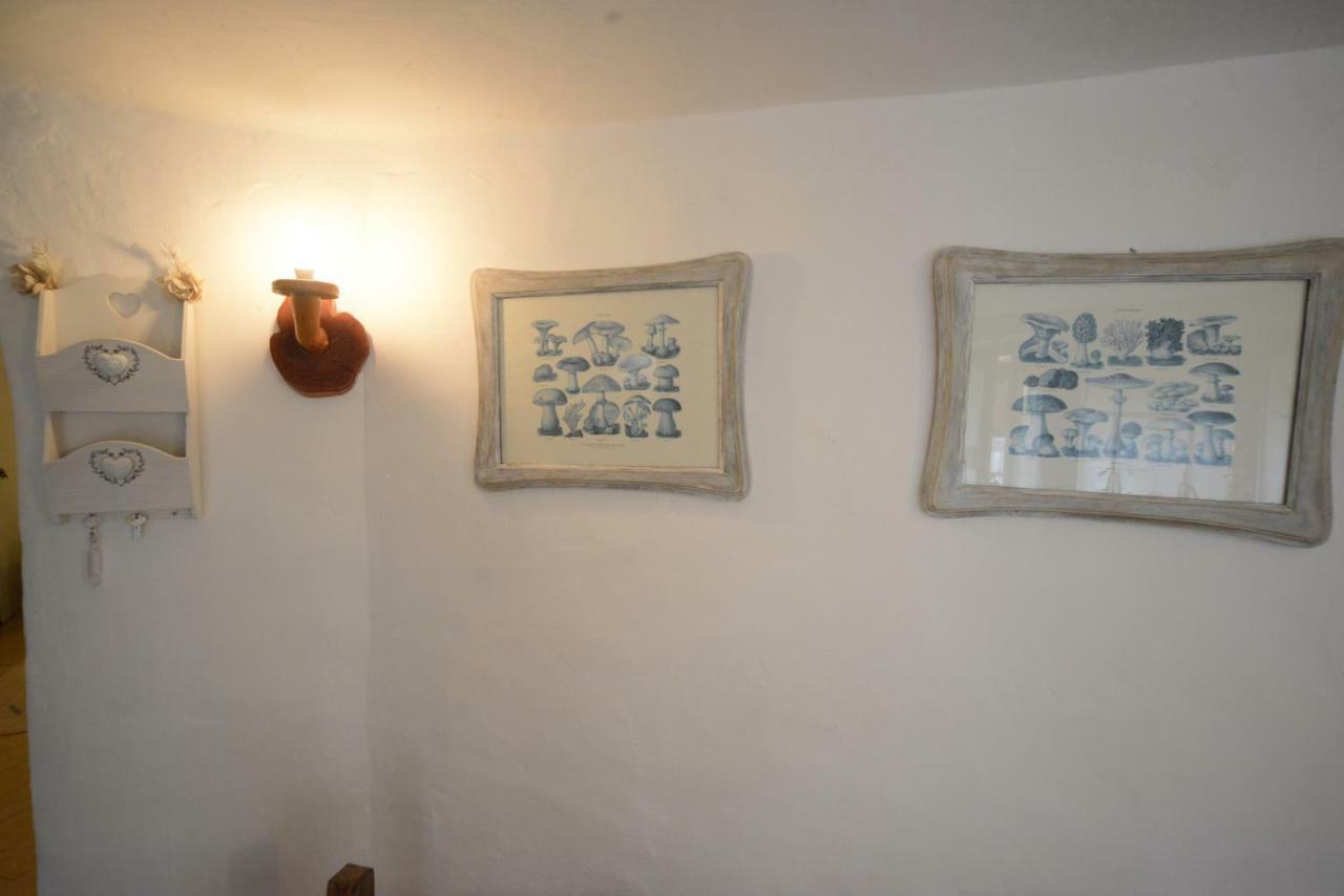 Apartment La Casa Del Noce *